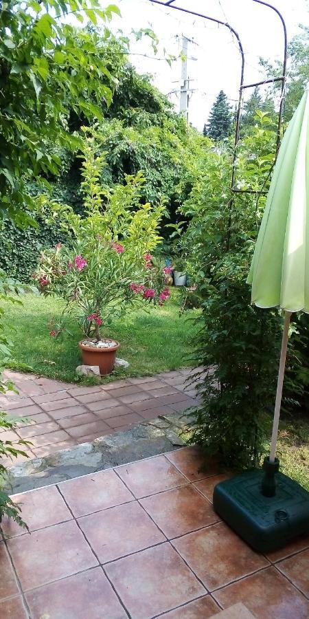 Vadszolo Vendeghaz Апартаменти Cak